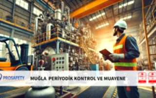 MUĞLA PERİYODİK KONTROL VE MUAYENE